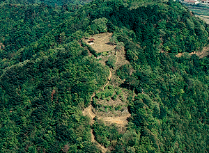 有子山城跡