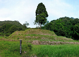 茶臼山古墳