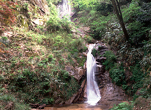 白糸の滝