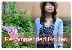 recommended routes