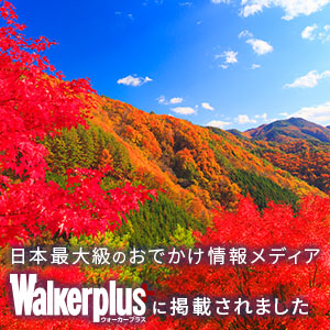 ふるさと納税